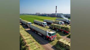 Maharashtra Sugar Production 2026 | महाराष्ट्रातील साखर उत्पादन | Sugarcane crushing India | साखर कारखाना