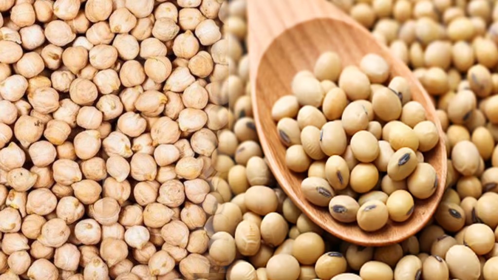 Maharashtra Agriculture Export Crisis | महाराष्ट्रातील कृषी निर्यात संकट Maharashtra Agriculture Export Crisis | महाराष्ट्रातील कृषी निर्यात संकट