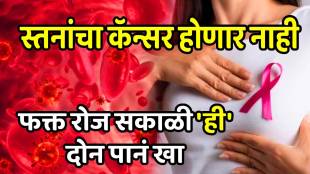 basil leaves health benefits tulsi protects against diseases like blood sugar and breast cancer know its more health benefits