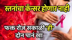 स्तनांचा कॅन्सर होणार नाही! ब्लड शुगरचा धोका कमी होईल, फक्त रोज सकाळी ‘ही’ दोन पानं खा, परिणाम पाहून थक्क व्हाल