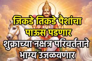 Shukra Nakshatra Gochar 2026