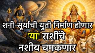 Surya Shani Yuti Drishti Yog 2026
