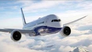 Pune Airport Customs Seize Ganja | पुणे विमानतळ हायड्रोपोनिक गांजा जप्त