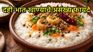 Curd Rice Benefits