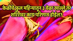 जर तुम्ही केळीचे फुल महिन्यातून ३ वेळा खाल्ले तर शरिरावर काय परिणाम होईल? परिणाम पाहून थक्क व्हाल
