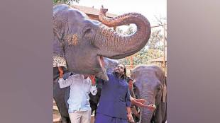 Vantara Jamnagar, Akash Ambani, Reliance Vantara, Wild Animal Import India, Greens Zoological Rescue Center, Jamnagar Zoo, Animal Welfare, Rajya Sabha News, Maharashtra News, Mumbai News, Tiger Import, Reticulated Python, UAE to India Animal Transfer, Vantara Project Details,