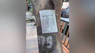 Thane, Maharashtra, Thane Metro, Internal Ring Metro Thane, Tree Cutting in Thane, Environmental News Marathi, TMC, Mahametro, Thane Traffic, Metro 4, Metro 5, Borivali-Thane Tunnel, Environment Activists Thane, Tree Transplantation, Marathi News, Breaking News Thane,