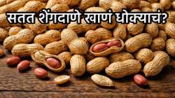 उठ सूट कधीही शेंगदाणे खाणं आता थांबवा… नाहीतर शरीराला भोगावे लागू शकतात ‘हे’ गंभीर परिणाम