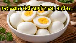 उन्हाळ्यात दररोज अंडी खाणं ठरू शकतं धोक्याचं? जाणून घ्या योग्य प्रमाण व वेळ