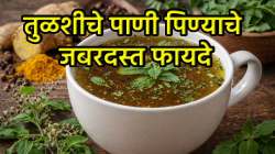 सकाळी उपाशीपोटी तुळशीचे पाणी पिण्याचे जबरदस्त फायदे; आजपासूनच करा सुरुवात