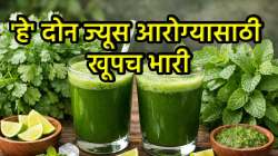 फक्त एक नव्हे अनेक फायदे! पुदिना आणि कोथिंबिरीचा रस पिण्याचे असंख्य फायदे वाचून व्हाल चकित