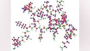 Protein functions in human body science | मानवी शरीरातील प्रथिनांचे कार्य आणि महत्त्व