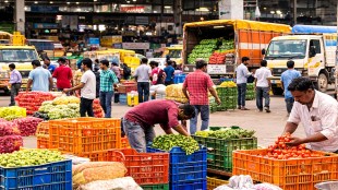 Farmers in Jalgaon facing price drop in Vashi market, Jalgaon vegetable farmers exploitation, Vashi APMC market news, Maharashtra agriculture crisis | जळगाव भाजीपाला उत्पादक शेतकरी, वाशी बाजार समिती दर घसरण, कृषी उत्पन्न बाजार समिती मध्यस्थ, महाराष्ट्रातील शेती संकट