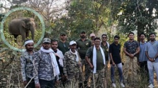 Wild Elephant Attack Gondia