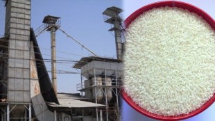 Gondia Bhandara rice mill industry crisis, Rice export from Vidarbha, Middle East war impact on business, Impact on Maharashtra rice mills | गोंदिया भंडारा राईस मिल संकट, विदर्भातील तांदूळ निर्यात, आखाती देशातील युद्धाचा परिणाम, तांदूळ व्यवसाय अडचणीत