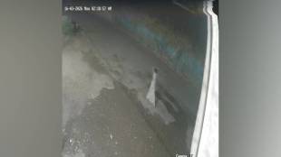 Stray dog attack in Chakan Pune | चाकणमध्ये श्वानांच्या हल्ल्यात महिलेचा मृत्यू | Pimpri Chinchwad stray dog menace | मृत शोभा विजय वाघमारे चाकण