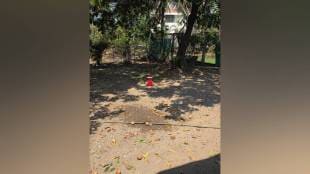 Palghar Chikoo Price Drop Farmers Crisis | पालघर डहाणू चिकू बागायतदार दर घसरण