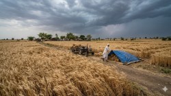 वादळी वाऱ्यासह जालन्यात पावसाची शक्यता