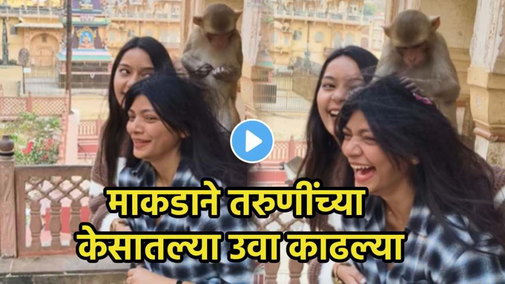 Funny Viral Video Funny Viral Video