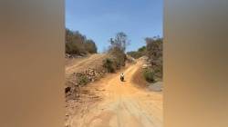 अलिबागमधील महत्वाच्या मिसिंग लिंक मार्गाच्या कामाला गती