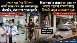 Vishrantwadi kitten hit-and-run case Pune