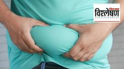 Sarcopenia: वयाच्या तिशीनंतरच चयापचय क्रिया मंदावते? स्नायू व हाडांची सुप्त झीज, अस्थिरोग तज्ज्ञांनी कोणता इशारा दिला?