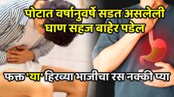 पोटात वर्षानुवर्षे सडत असलेला मल सहज बाहेर पडेल; अ‍ॅसिडीटी होणार नाही, फक्त ‘या’ हिरव्या भाजीचा रस नक्की प्या