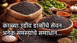 किडनीपासून लिव्हरपर्यंत… काळी उडीद डाळ खाण्याचे जबरदस्त फायदे वाचून व्हाल थक्क