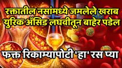 Uric Acid: रक्तातील नसांमध्ये जमलेले खराब युरिक अ‍ॅसिड लघवीतून बाहेर पडेल; फक्त रिकाम्यापोटी ‘हा’ रस प्या