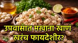 उपवासात मखाना खात असाल तर ‘हे’ नक्की वाचा, फायदे पाहून तुम्हीही थक्क व्हाल!