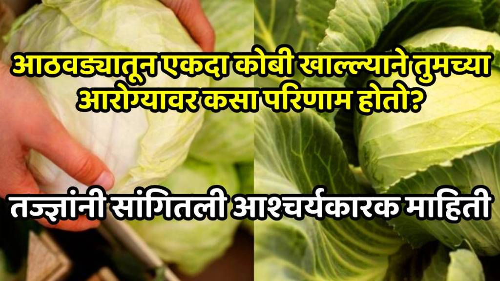 What happen to your body if you consume cabbage once a weak how to react this vegetable for gut health and weight managment What happen to your body if you consume cabbage once a weak how to react this vegetable for gut health and weight managment