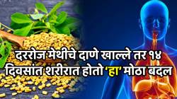 दररोज मेथीचे दाणे खाल्ले तर १४ दिवसांत शरीरात होतो ‘हा’ मोठा बदल; पाहून विश्वास बसणार नाही, जाणून घ्या