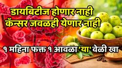 डायबिटीज होणार नाही, कॅन्सर जवळही येणार नाही;  १ महिना फक्त १ आवळा ‘या’ वेळी खा; चमत्कारीक परिणाम पाहून थक्क व्हाल