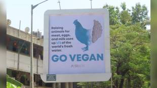 Peta India Mumbai Bandra billboard | Save water go vegan message Mumbai | World Water Day Peta India campaign | Environmental impact of meat and dairy industry