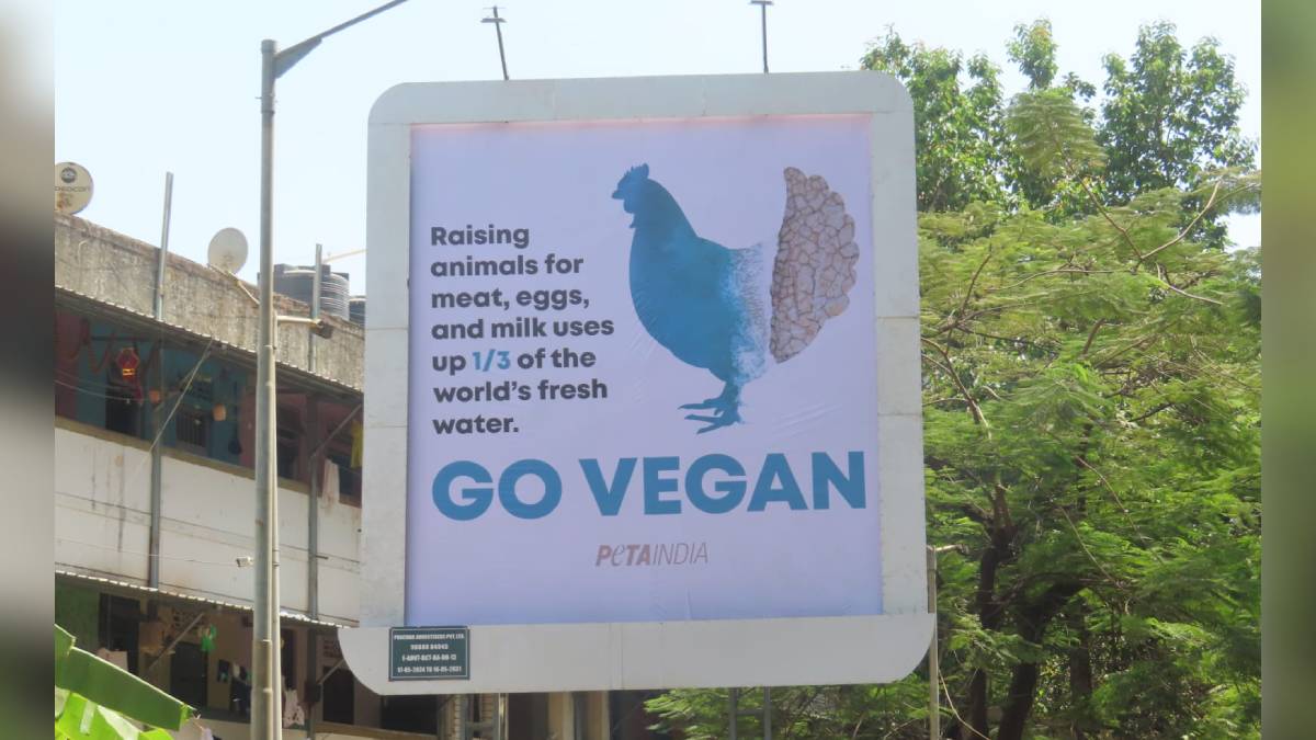 बांद्रा - ShareChat