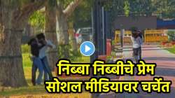 हे बघा निब्बा निब्बीचे प्रेम… गार्डनमध्ये गर्लफ्रेंड-बॉयफ्रेंडची जोरादार हाणामारी अन् नंतर प्रेम; VIDEO पाहून नेटकऱ्यांच्या डोक्यात गेली तीव्र सनक