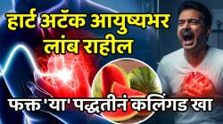 हार्ट अटॅक आयुष्यभर लांब राहील; ब्रेन स्ट्रोकचा धोका कमी होईल, फक्त ‘या’ पद्धतीनं कलिंगड खा, फायदे वाचून व्हाल थक्क