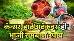 कॅन्सर, हार्ट अटॅकवर ‘ही’ भाजी रामबाण उपाय; डोळे आणि हाडांसाठीही फायदेशीर, परिणाम पाहून तुम्हीही थक्क व्हाल
