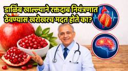 डाळिंब खाल्ल्याने रक्तदाब नियंत्रणात ठेवण्यास खरोखरच मदत होते का? हृदय आणि मेंदूच्या आरोग्यावरील परिणामांबद्दल तज्ञांनी स्पष्टच सांगितलं