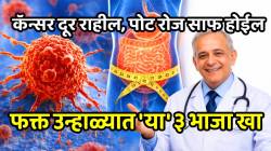 कॅन्सरसारखा गंभीर आजार दूर राहील; पोट रोजच्या रोज साफ होईल, वजन कमी होईल; फक्त उन्हाळ्यात ‘या’ ३ भाजा खा