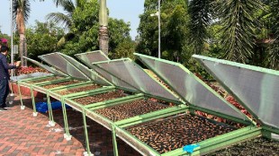 Palghar local agriculture products market issues | Chikoo and banana plantation in Palghar Maharashtra | Floriculture challenges for farmers in Palghar district | Local food processing units and malnutrition solutions in Palghar