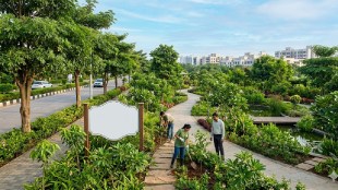 Navi Mumbai Municipal Corporation Tree Authority Budget 2026-27 | NMMC Botanical Garden Koparkhairane | One Lakh Tree Plantation Drive Navi Mumbai | City Greening Projects Maharashtra News