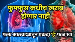फुफ्फुस कधीच खराब होणार नाही; आयुष्यभर रहाल निरोगी, फक्त आठवड्यातून एकदा ‘हे’ फळ खा, परिणाम पाहून थक्क व्हाल