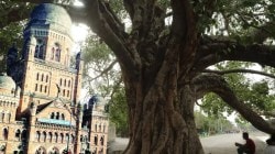 मुंबईत ‘वृक्ष संजीवनी’ अभियान; महानगरपालिका एप्रिलमध्ये राबविणार विशेष मोहीम…