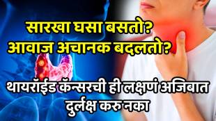 Amazing health benefits of gymnema sylvestre know how to use it benefits of gymnema sylvestre for Diabetes