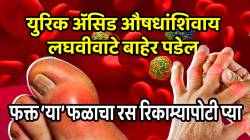 नसांमध्ये साचलेलं युरिक अ‍ॅसिड औषधांशिवाय लघवीवाटे बाहेर पडेल; फक्त ‘या’ फळाचा रस रिकाम्यापोटी प्या, महिन्याभरातच दूर होईल संधिवात
