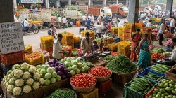फ्लाॅवर, कोबी, टोमॅटो, मिरचीच्या दरात घट…