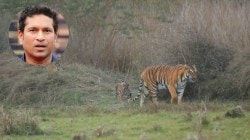 VIDEO : शेवटी ‘जुनाबाई’चे प्रेम जिंकले; सचिन तेंडूलकर गेल्या तीन दिवसांपासून सोबत…