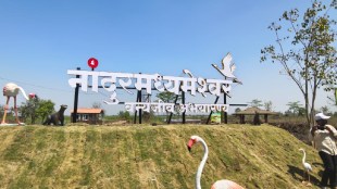 Nandur Madhmeshwar Bird Sanctuary Nashik Tourism