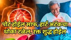 पोट होईल साफ, हार्ट अटॅकचा धोका टळेल, रक्त शुद्ध व २०६ हाडं होतील लोखंडी; फक्त ‘हे’ एक फळ बारा महिने रोज खा आणि भरपूर जगा